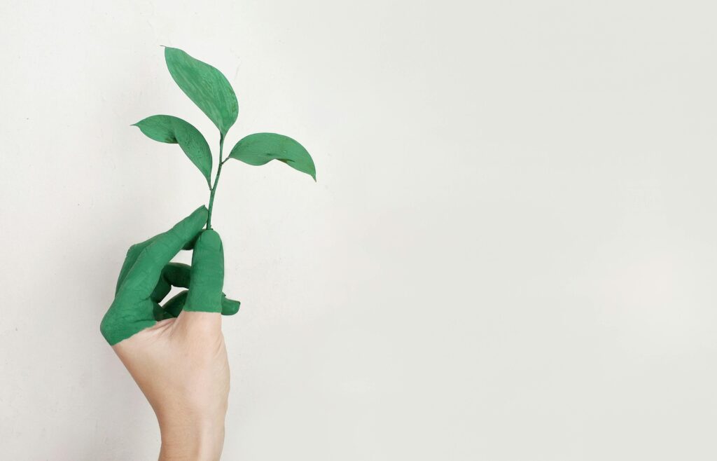 Teaching Tomorrow’s Changemakers: Why Sustainability Starts in Early Childhood