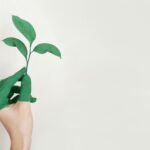 Teaching Tomorrow’s Changemakers: Why Sustainability Starts in Early Childhood